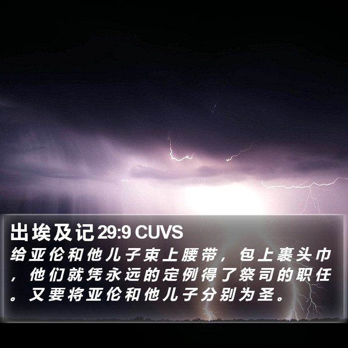 出 埃 及 记 29:9 CUVS Bible Study