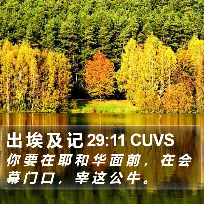 出 埃 及 记 29:11 CUVS Bible Study