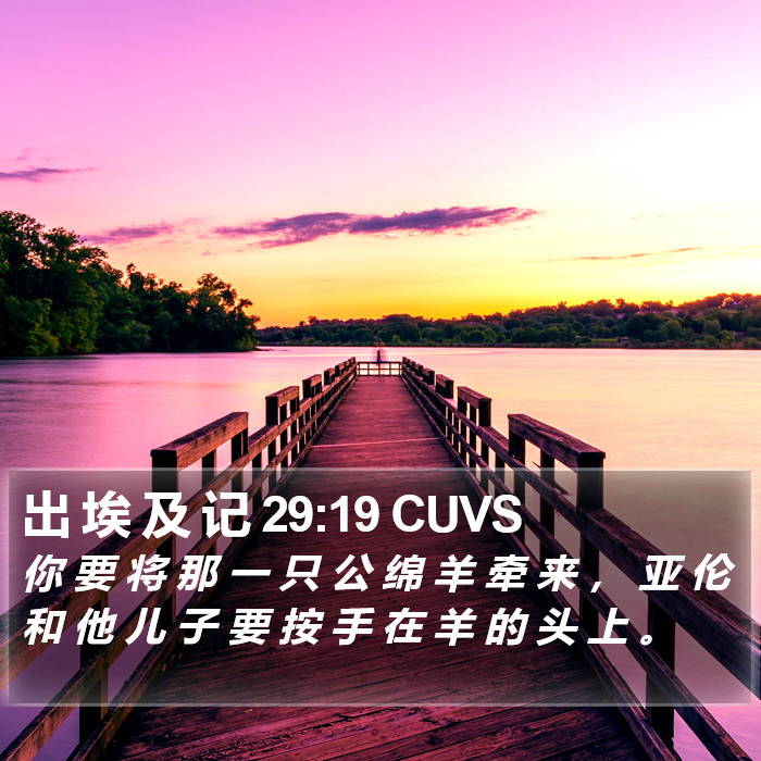 出 埃 及 记 29:19 CUVS Bible Study