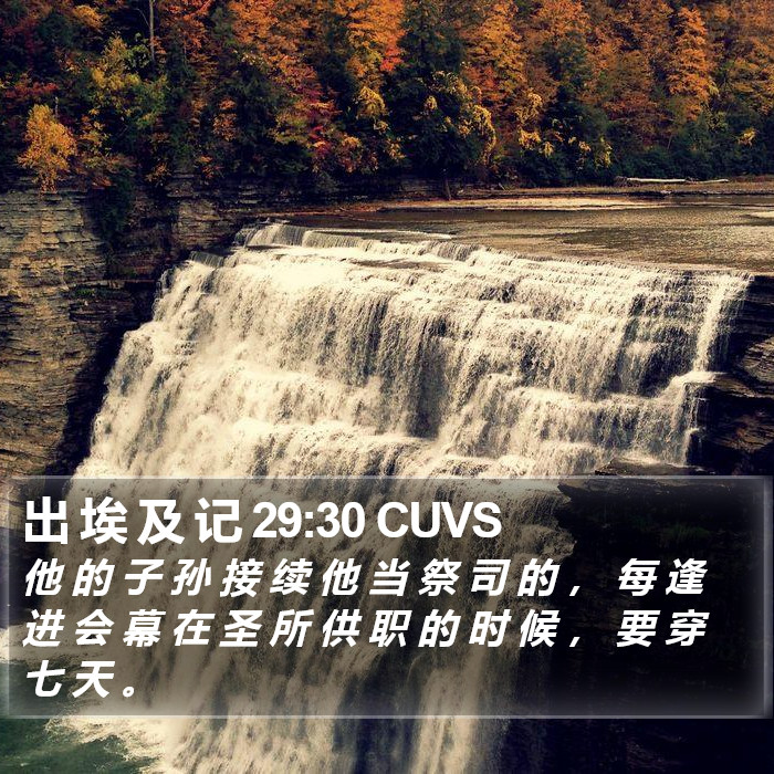 出 埃 及 记 29:30 CUVS Bible Study