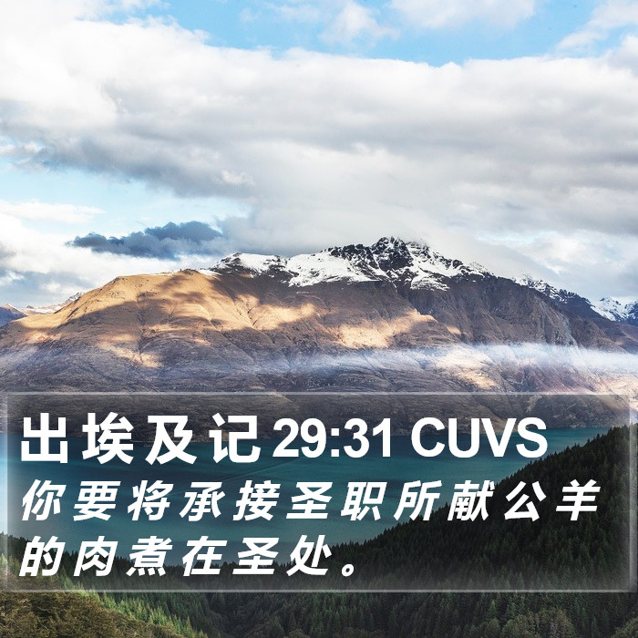 出 埃 及 记 29:31 CUVS Bible Study