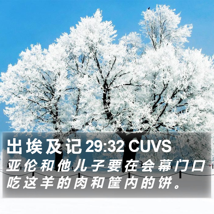 出 埃 及 记 29:32 CUVS Bible Study