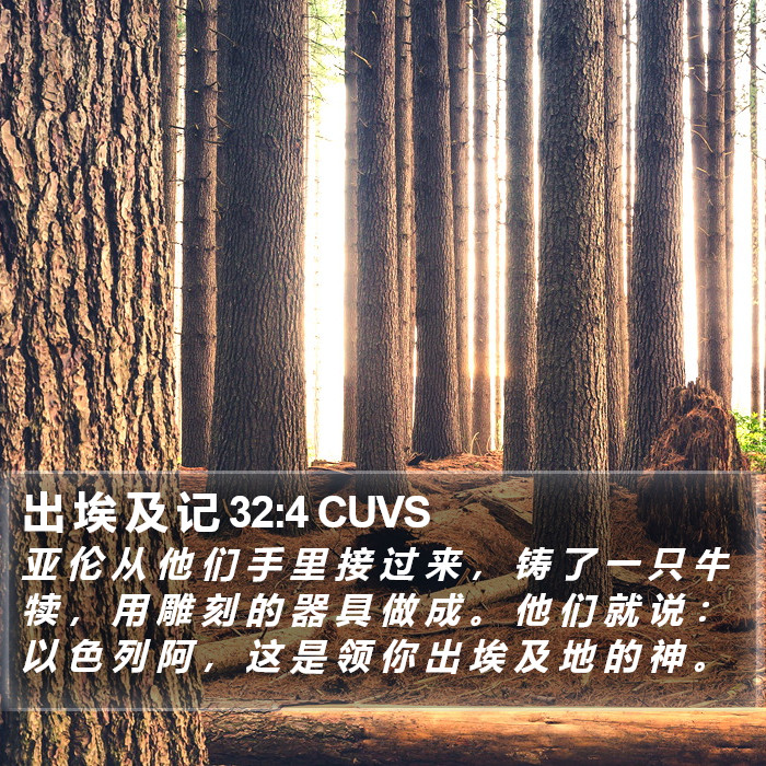 出 埃 及 记 32:4 CUVS Bible Study