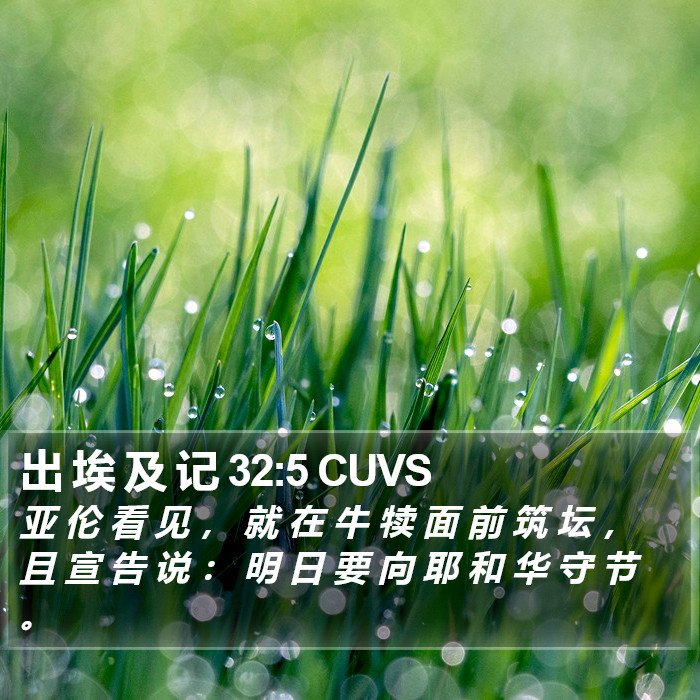 出 埃 及 记 32:5 CUVS Bible Study