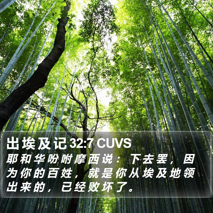 出 埃 及 记 32:7 CUVS Bible Study