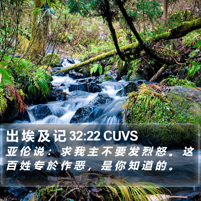 出 埃 及 记 32:22 CUVS Bible Study