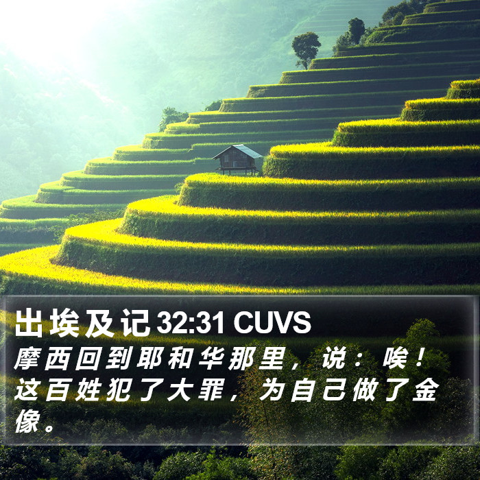 出 埃 及 记 32:31 CUVS Bible Study