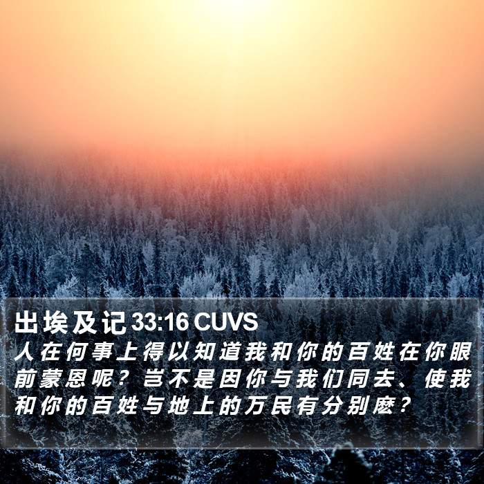 出 埃 及 记 33:16 CUVS Bible Study