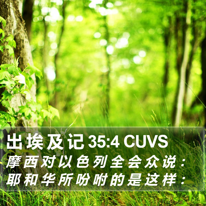 出 埃 及 记 35:4 CUVS Bible Study