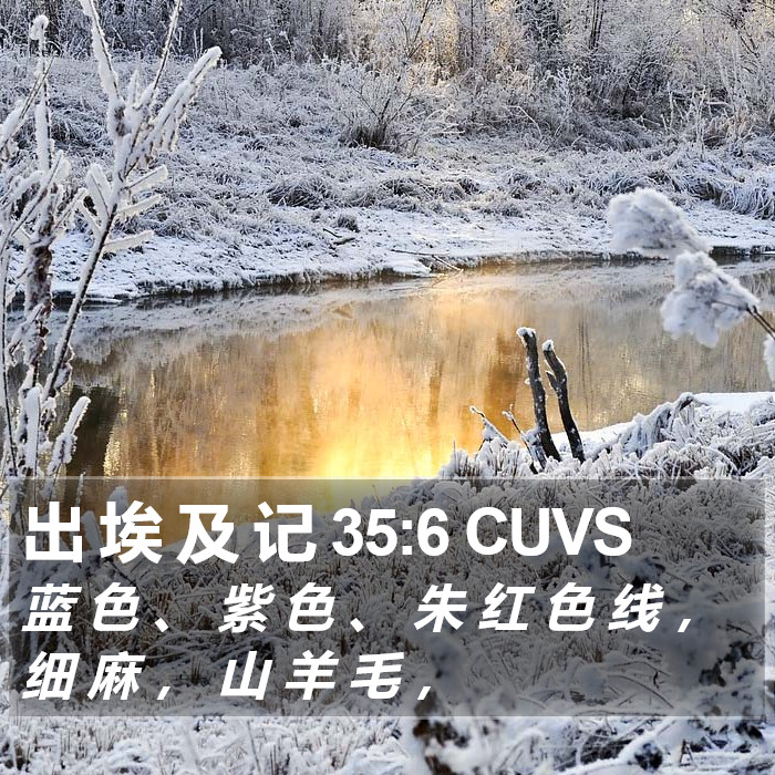 出 埃 及 记 35:6 CUVS Bible Study