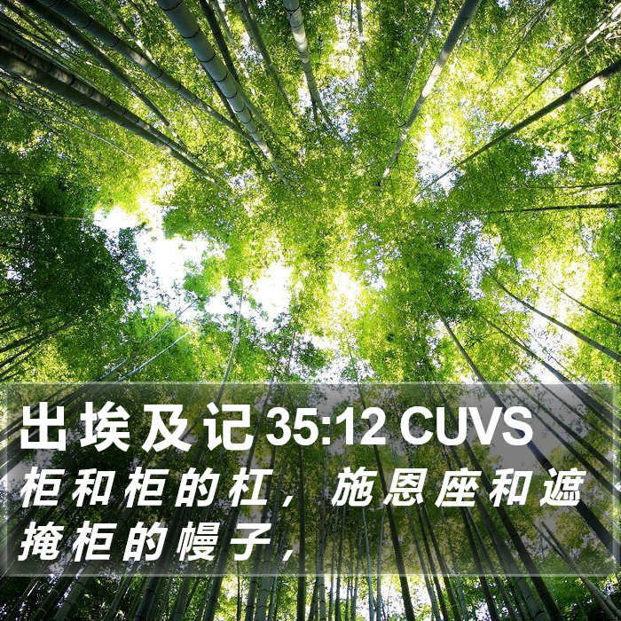 出 埃 及 记 35:12 CUVS Bible Study