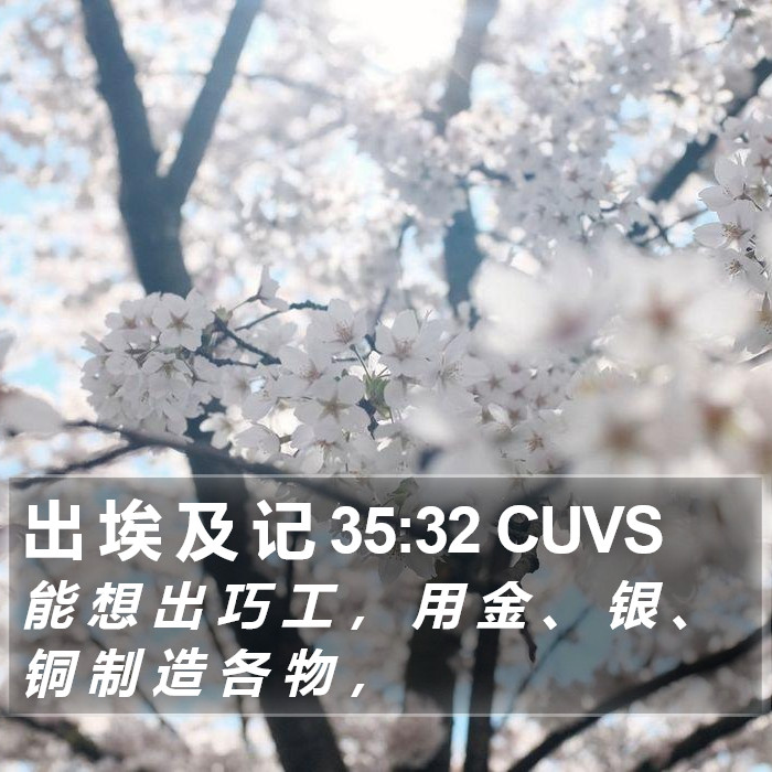 出 埃 及 记 35:32 CUVS Bible Study