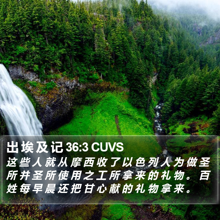 出 埃 及 记 36:3 CUVS Bible Study