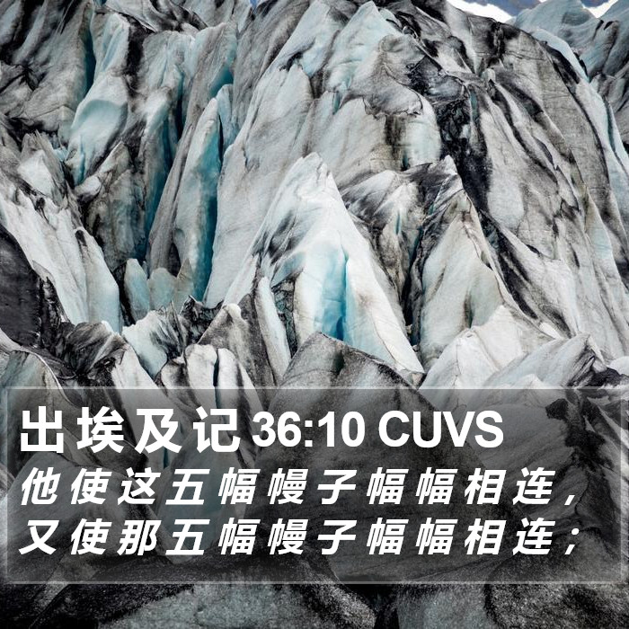 出 埃 及 记 36:10 CUVS Bible Study