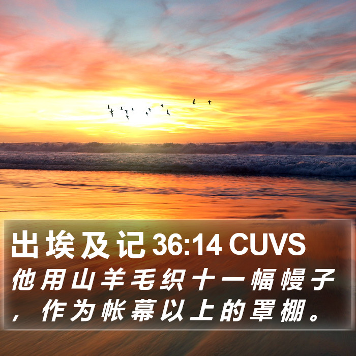 出 埃 及 记 36:14 CUVS Bible Study