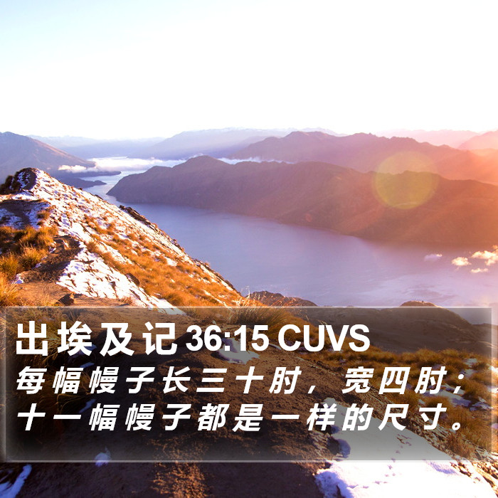 出 埃 及 记 36:15 CUVS Bible Study