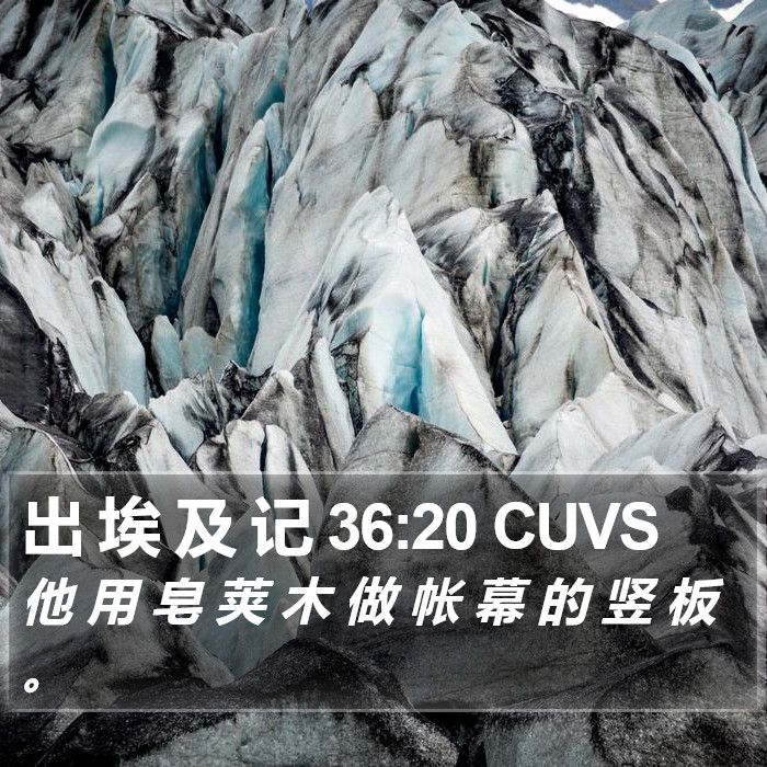 出 埃 及 记 36:20 CUVS Bible Study