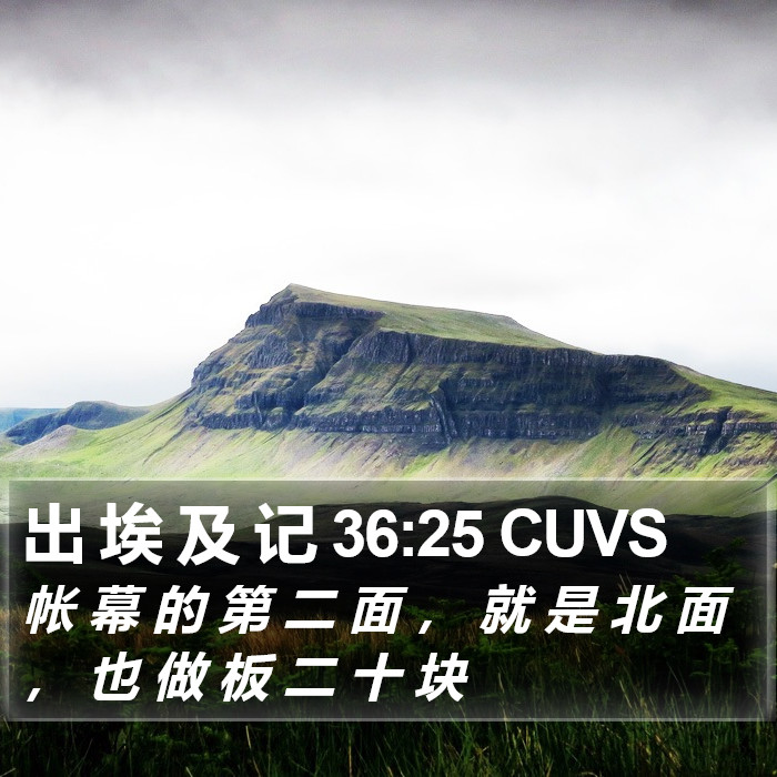 出 埃 及 记 36:25 CUVS Bible Study