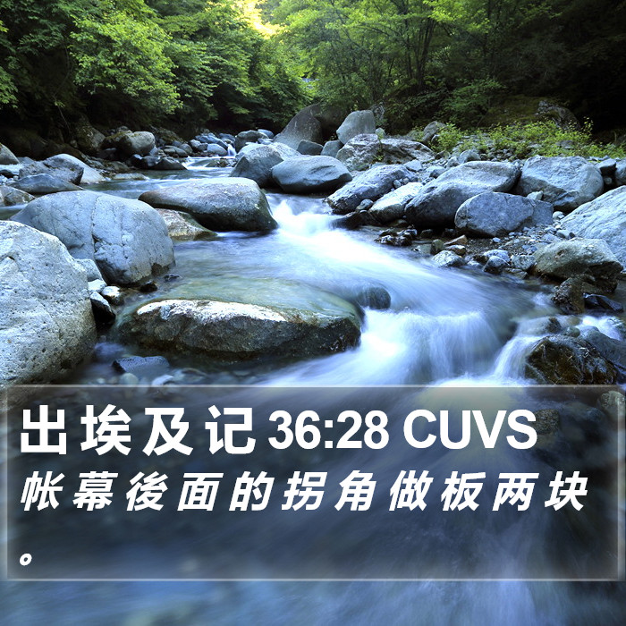出 埃 及 记 36:28 CUVS Bible Study