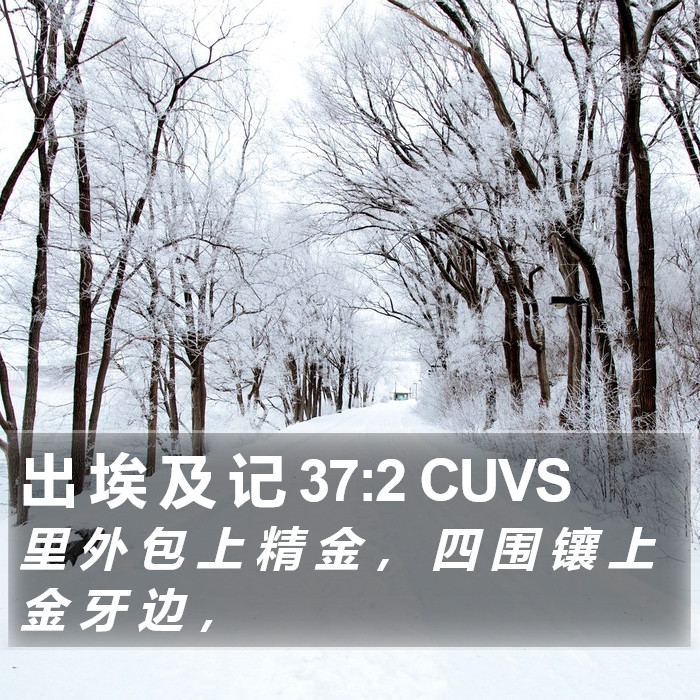 出 埃 及 记 37:2 CUVS Bible Study
