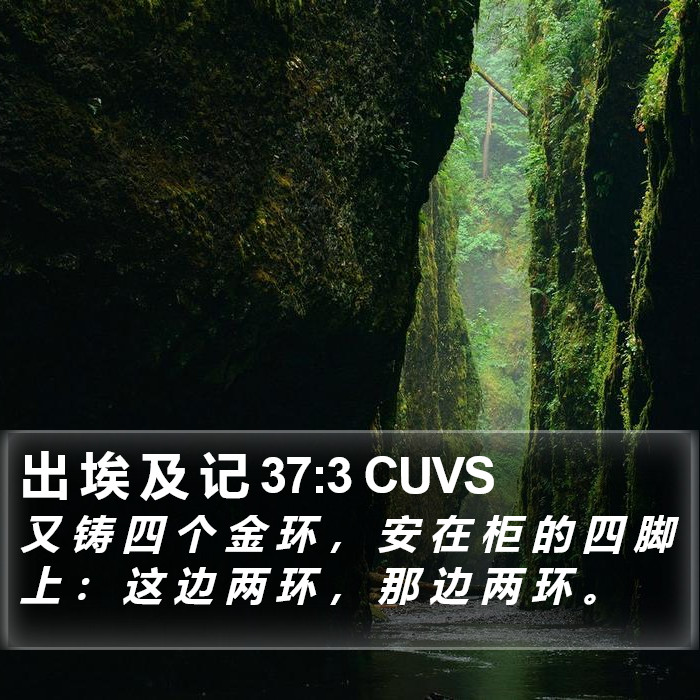 出 埃 及 记 37:3 CUVS Bible Study