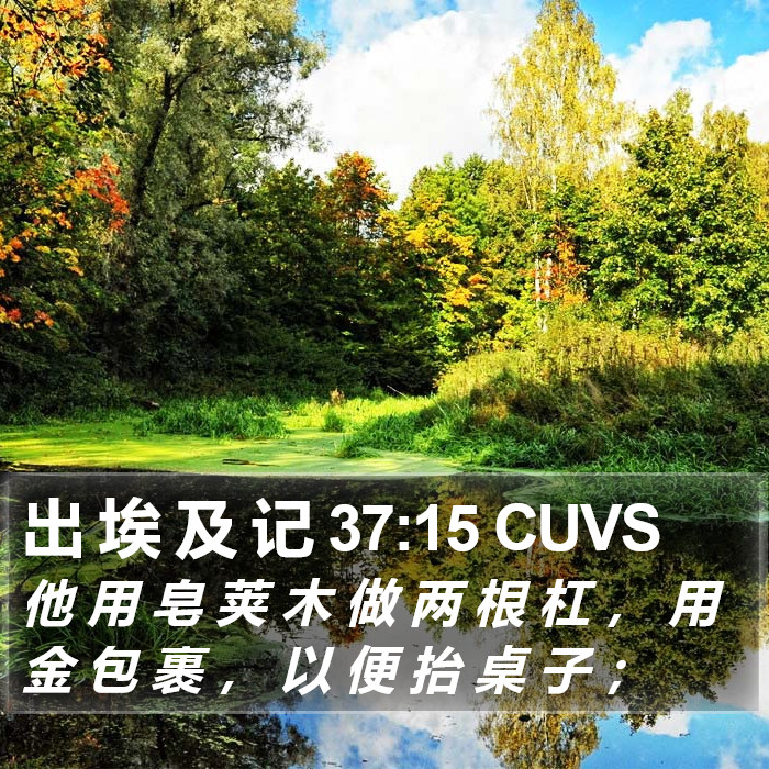 出 埃 及 记 37:15 CUVS Bible Study
