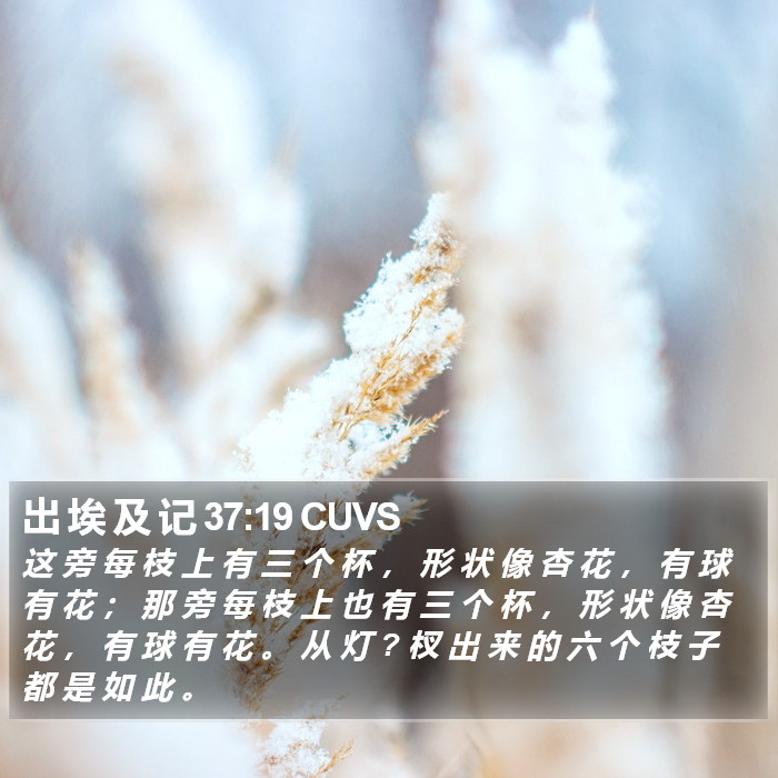 出 埃 及 记 37:19 CUVS Bible Study