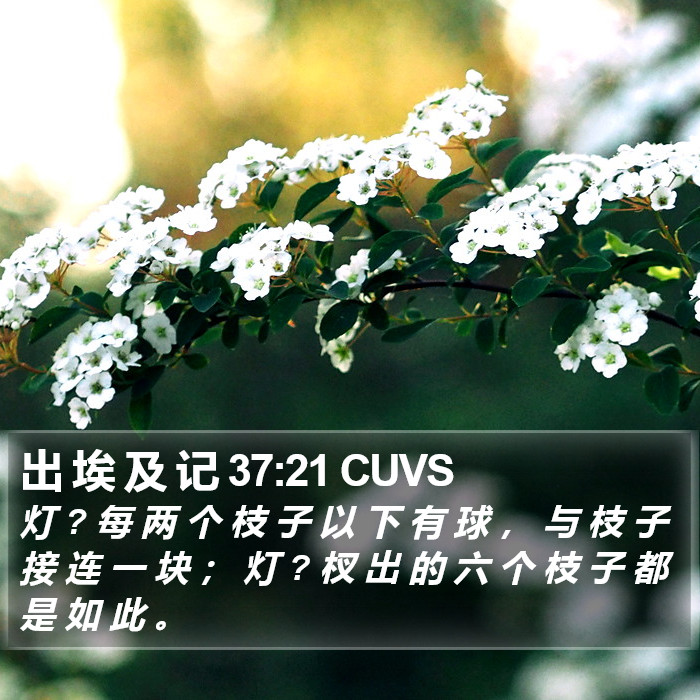 出 埃 及 记 37:21 CUVS Bible Study