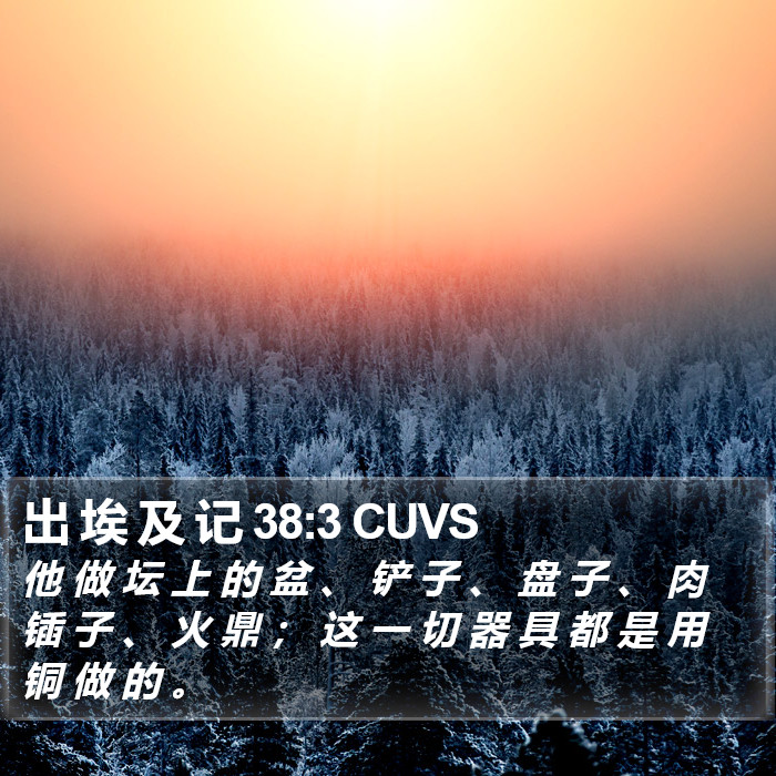 出 埃 及 记 38:3 CUVS Bible Study