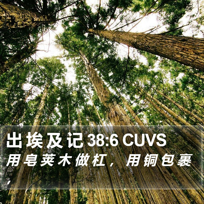 出 埃 及 记 38:6 CUVS Bible Study