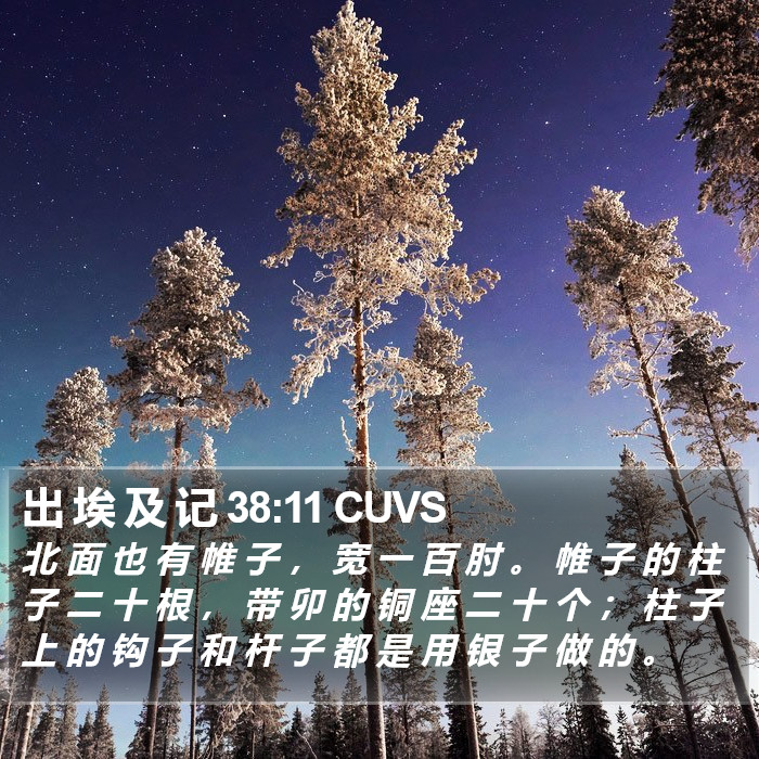出 埃 及 记 38:11 CUVS Bible Study