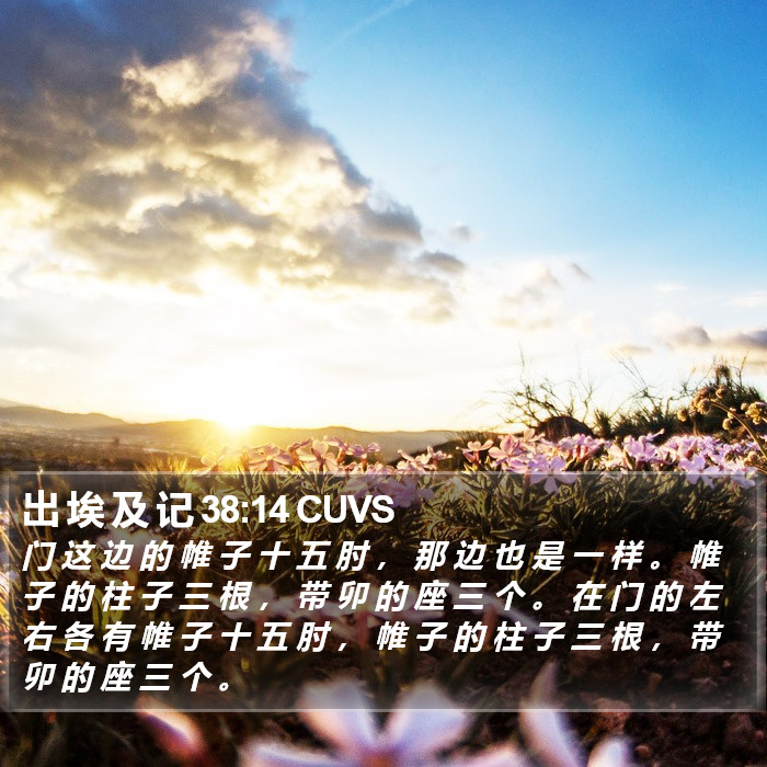 出 埃 及 记 38:14 CUVS Bible Study