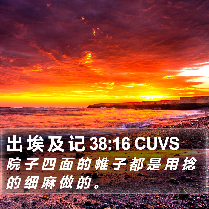出 埃 及 记 38:16 CUVS Bible Study