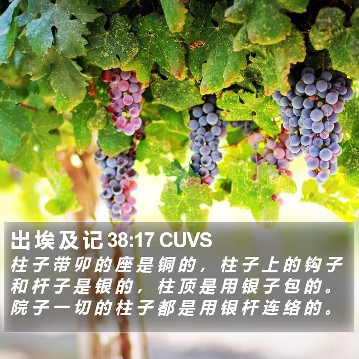 出 埃 及 记 38:17 CUVS Bible Study