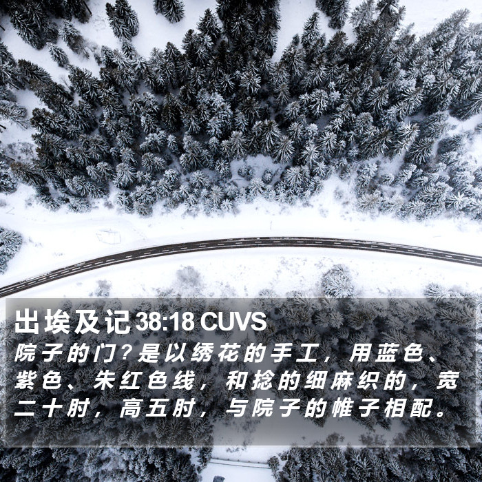 出 埃 及 记 38:18 CUVS Bible Study