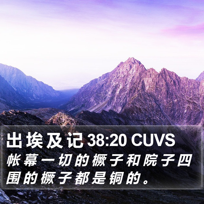 出 埃 及 记 38:20 CUVS Bible Study