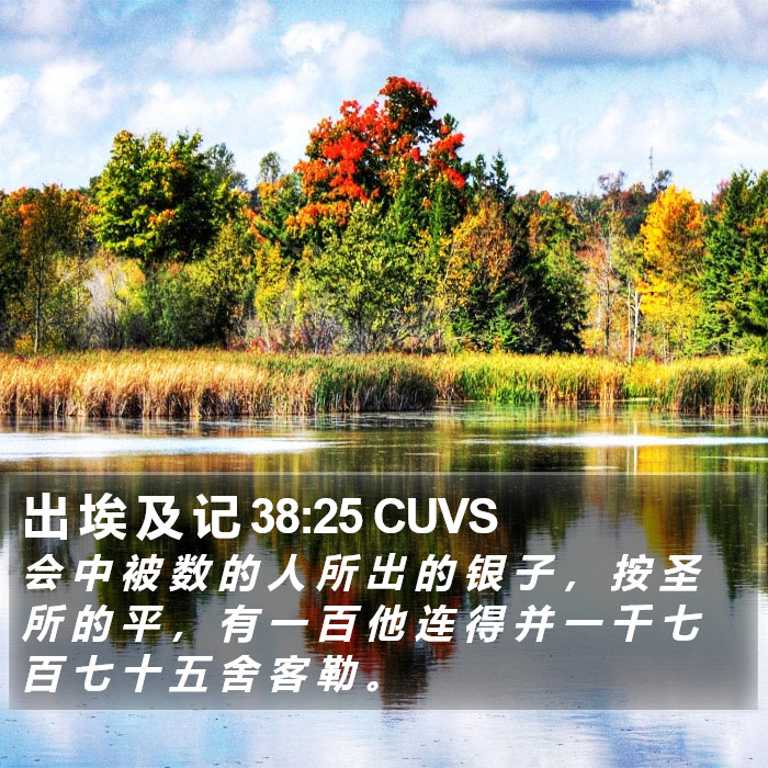 出 埃 及 记 38:25 CUVS Bible Study