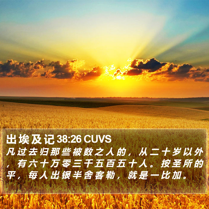 出 埃 及 记 38:26 CUVS Bible Study