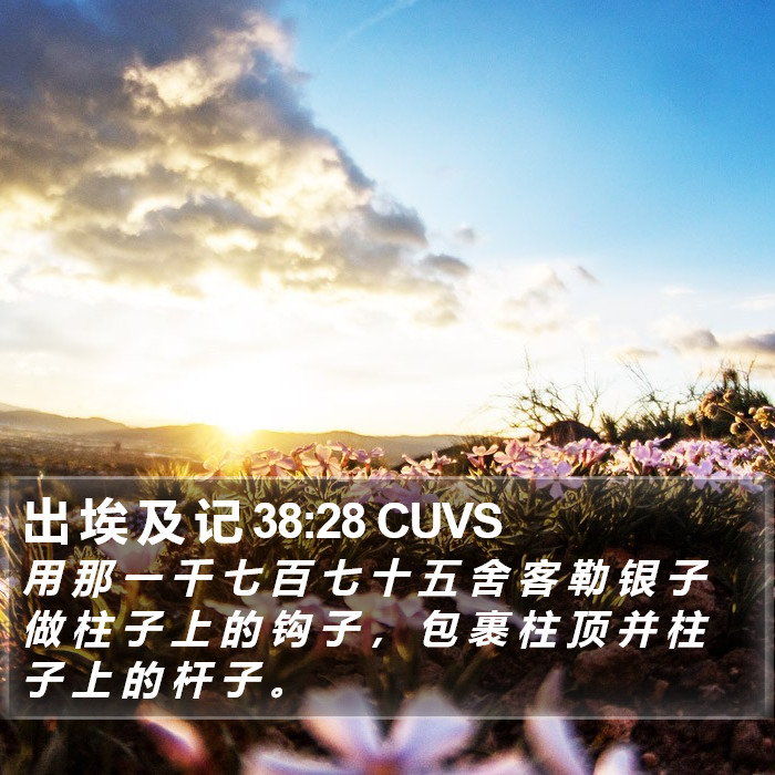 出 埃 及 记 38:28 CUVS Bible Study