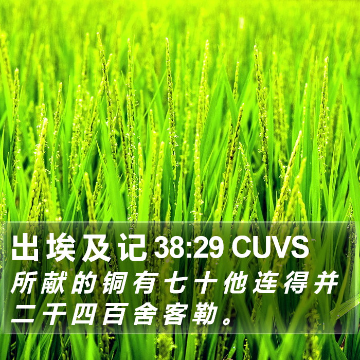出 埃 及 记 38:29 CUVS Bible Study