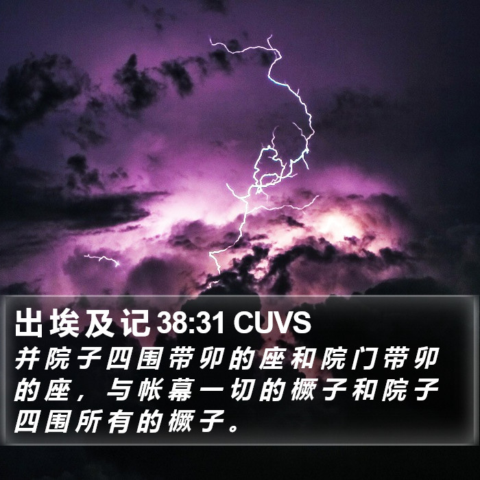 出 埃 及 记 38:31 CUVS Bible Study