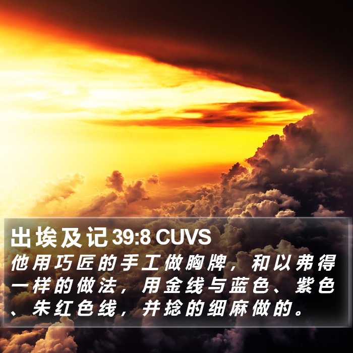 出 埃 及 记 39:8 CUVS Bible Study