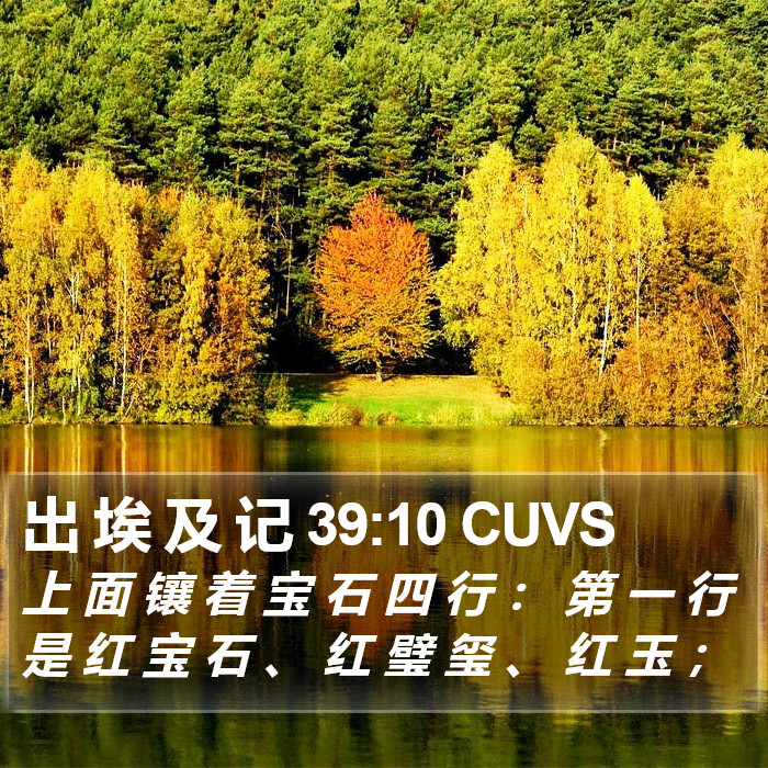 出 埃 及 记 39:10 CUVS Bible Study