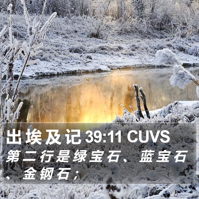 出 埃 及 记 39:11 CUVS Bible Study
