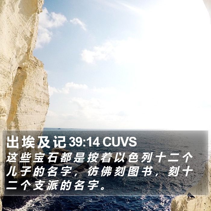出 埃 及 记 39:14 CUVS Bible Study