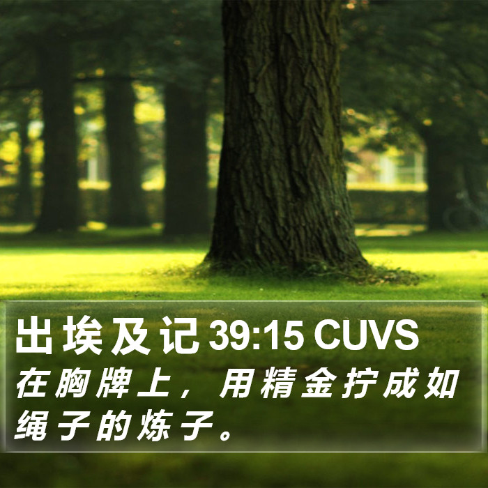 出 埃 及 记 39:15 CUVS Bible Study