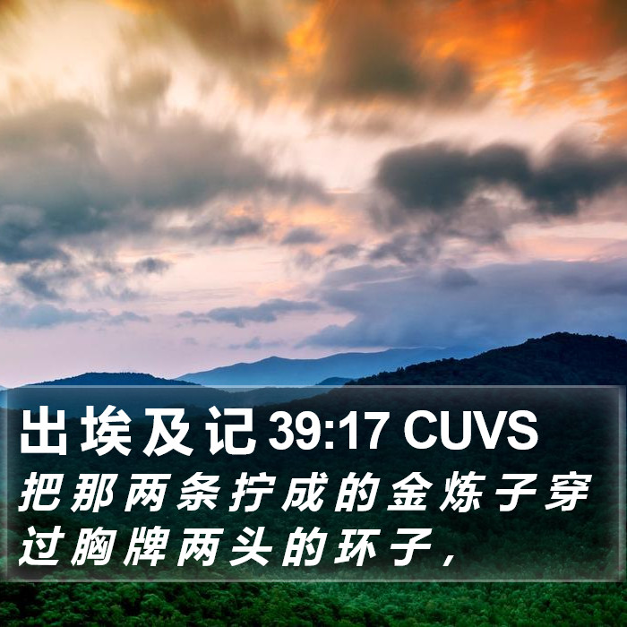 出 埃 及 记 39:17 CUVS Bible Study