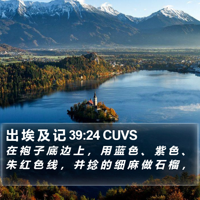 出 埃 及 记 39:24 CUVS Bible Study