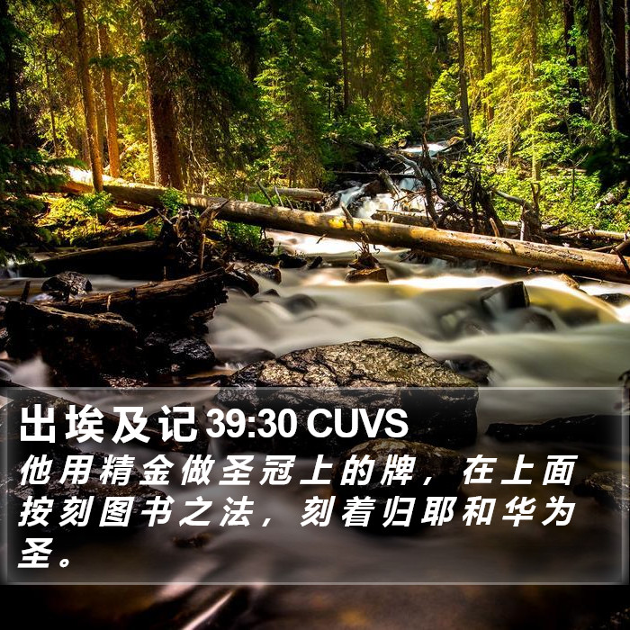 出 埃 及 记 39:30 CUVS Bible Study