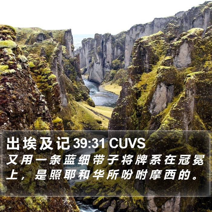 出 埃 及 记 39:31 CUVS Bible Study